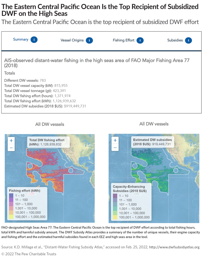 The Eastern Central Pacific Ocean Is the Top Recipient of Subsidized DWF on the High Seas