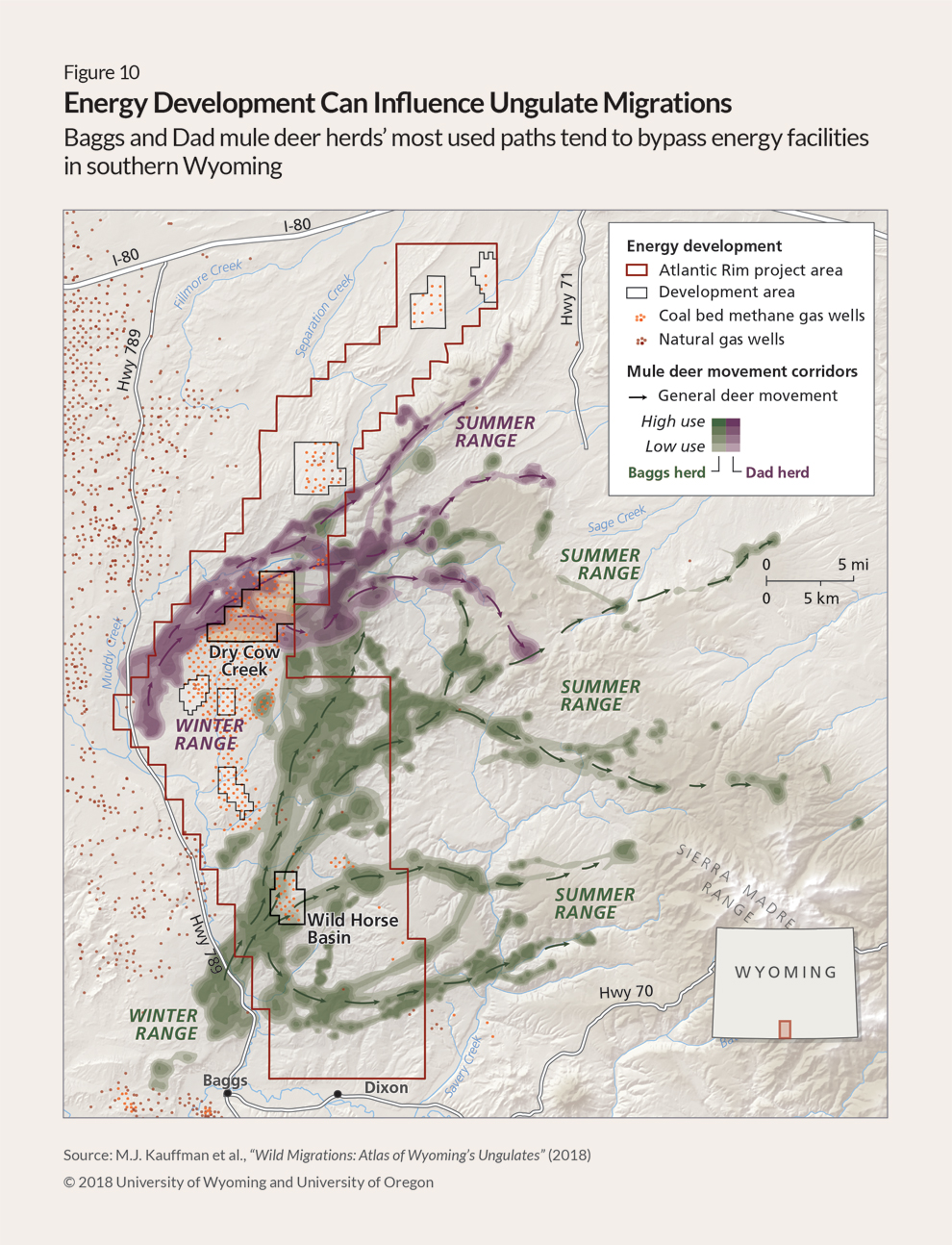 Map of central south Wyoming bordered by Interstate 80 and state highways 789 and 70, showing gas wells, represented by red dots, within the Atlantic Rim energy development project area, outlined also in red. Thin arrows show the movements of two mule deer herds through the gas field. Thicker shaded lines in purple for the Dad herd and green for the Baggs herd overlay the arrows, with deeper shades indicating higher use by the deer. The paths of both herds cross the project area, but the lines steer almost entirely clear of the existing wells, illustrating the ungulates’ avoidance behavior.