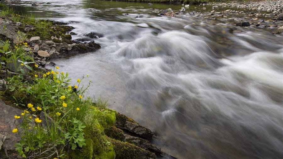 Fortymile River
