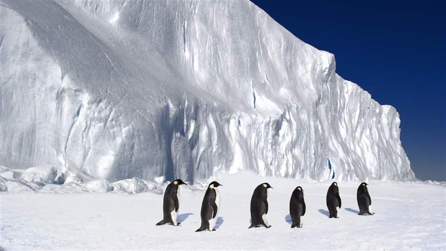 Ross Sea Marine Protected Area