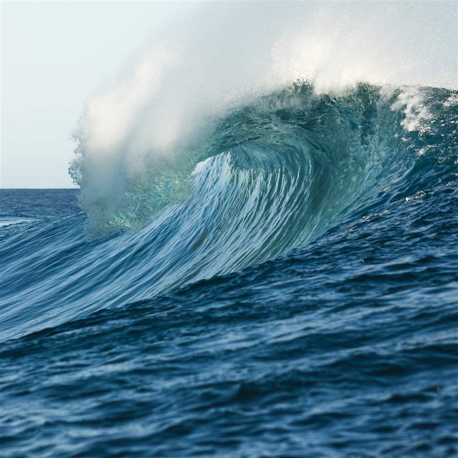 A large wave beginning to crash