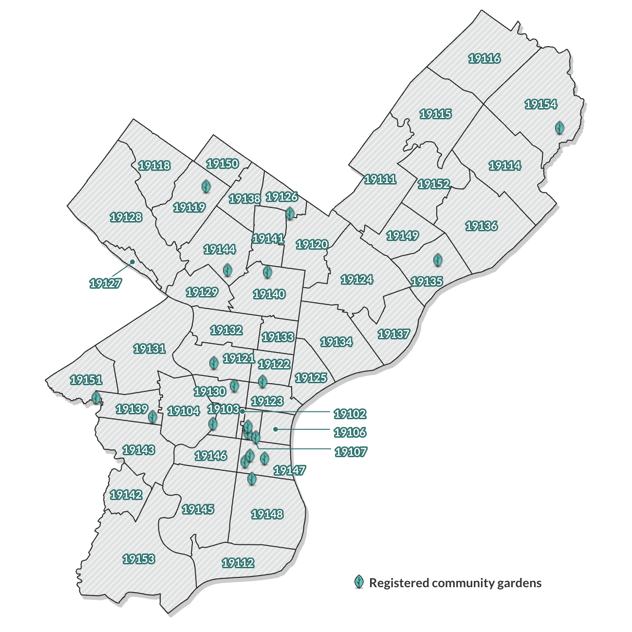 A map shows community gardens as leaves. Many of the gardens are in South Philadelphia’s 19147 ZIP code. There are four registered community gardens in the Northwest, two in the Southwest, and two in the Northeast, where they are vastly spread out.